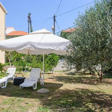 Grgic * 트로기르